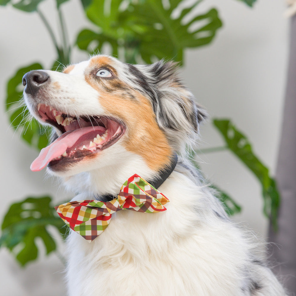 Huxley &amp; Kent - Harvest Check Bow Tie