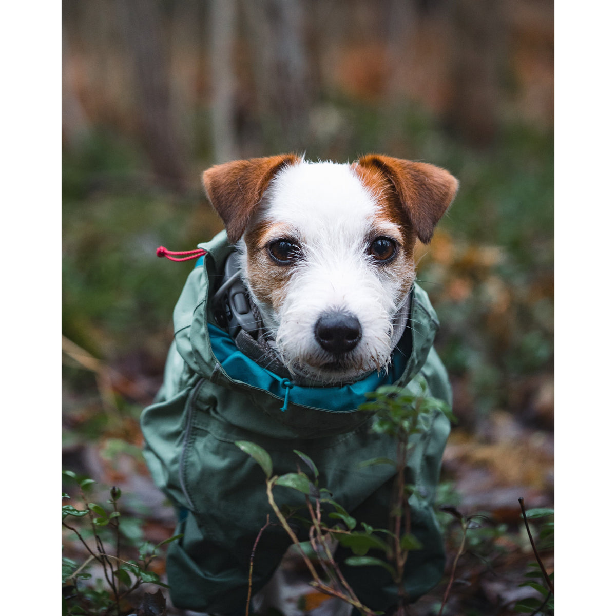 Hurtta - Eco Rain Blocker