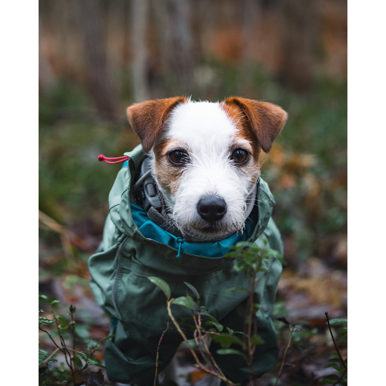 Hurtta - Eco Rain Blocker