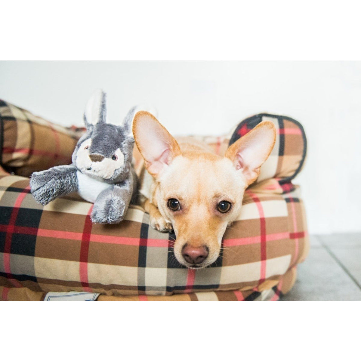 Fluff &amp; Tuff - Jessica Bunny