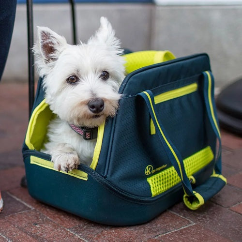 Kurgo Explorer Dog Carrier For Up To 10lb Dogs- Ink Blue/Electric Green