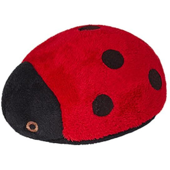 Fluff & Tuff  - Lady Bug