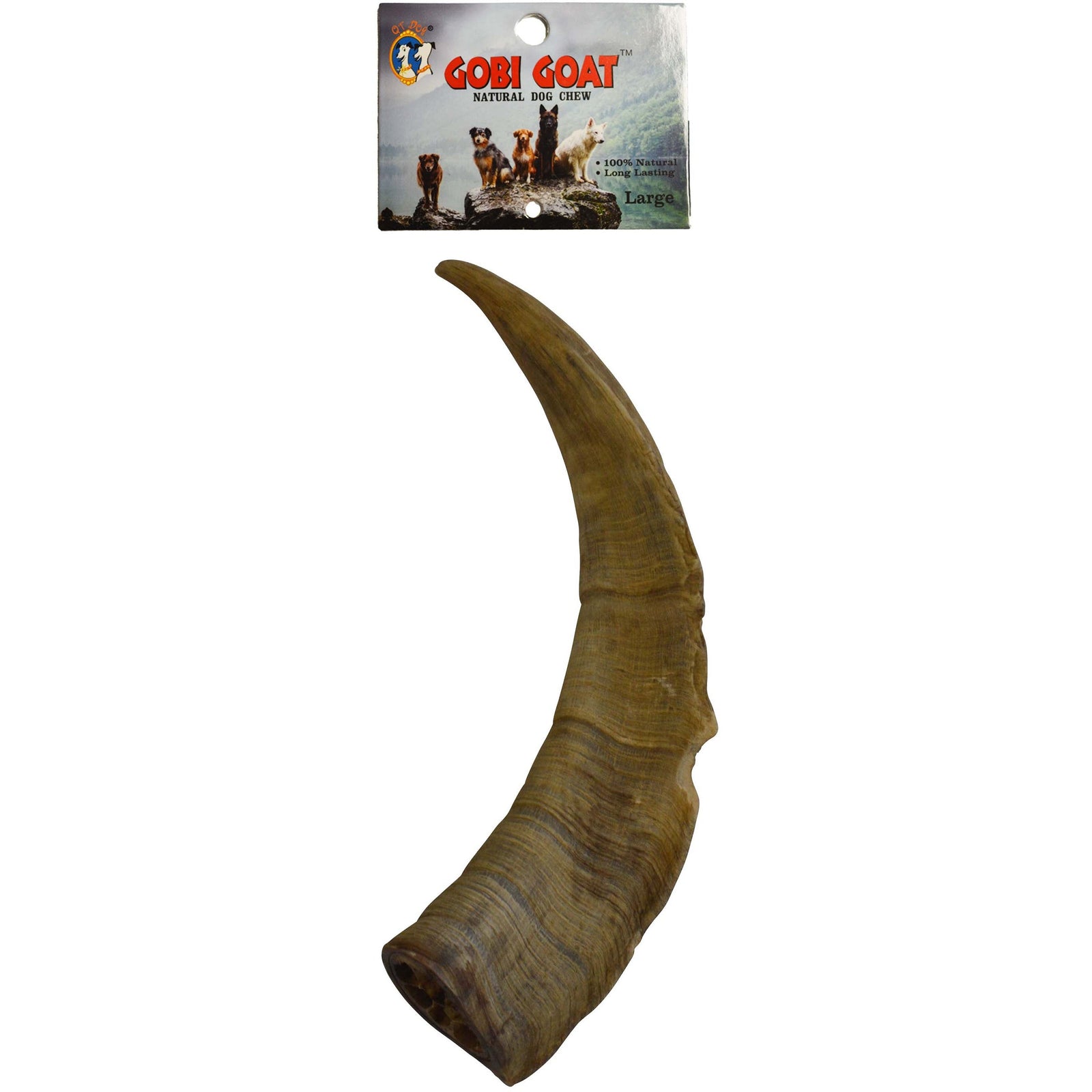 Gobi Horns