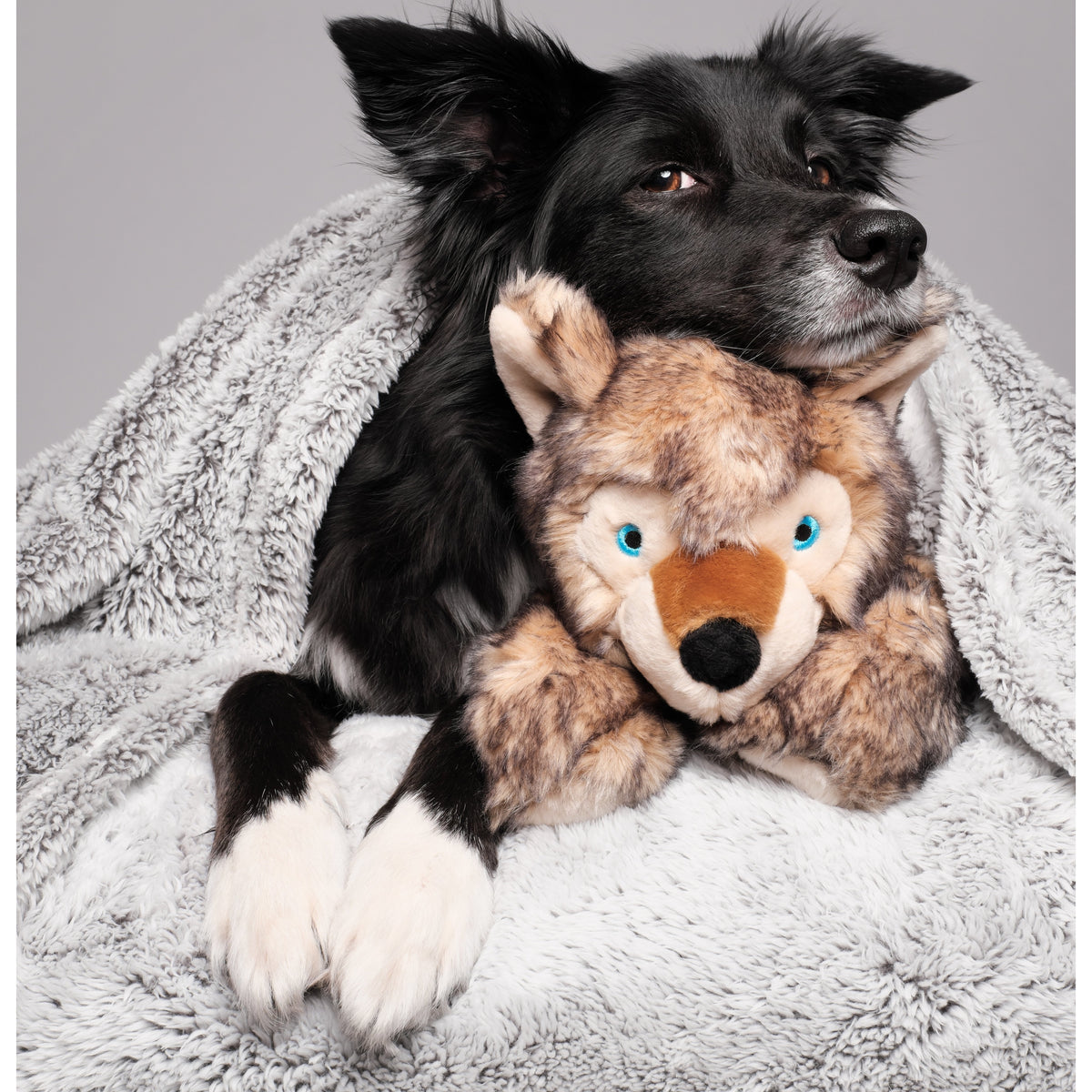 Fluff &amp; Tuff - Lobo the Wolf