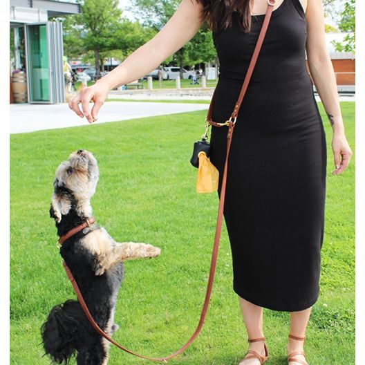 Le Dog Company - Longline Hands-Free Leather Dog Leash- Cognac Brown