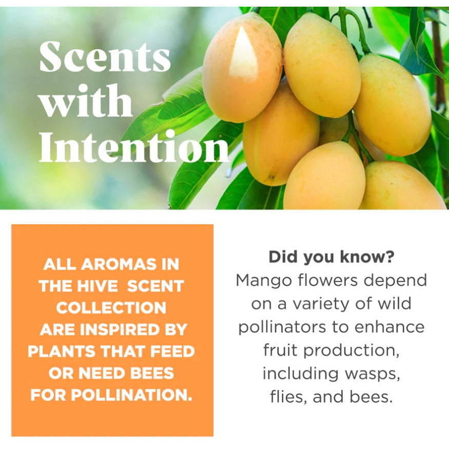 Project Hive - Hive Disc &amp; Lick Mat