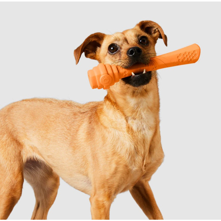 Project Hive - Hive Fetch Stick