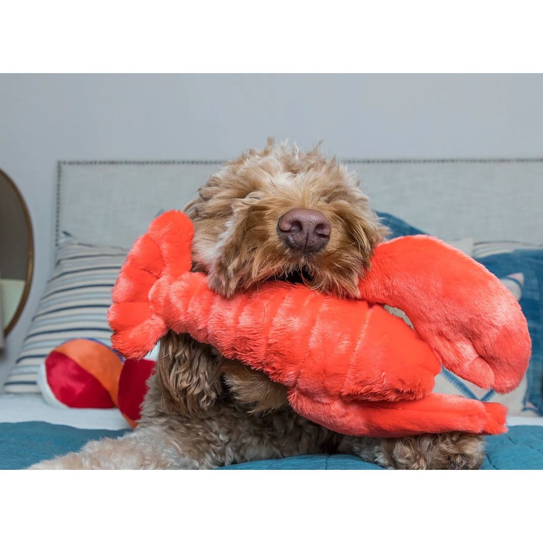 Fluff &amp; Tuff - Manny Lobster