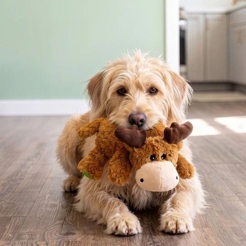 KONG Cozie - Marvin Moose Dog Toy, Medium