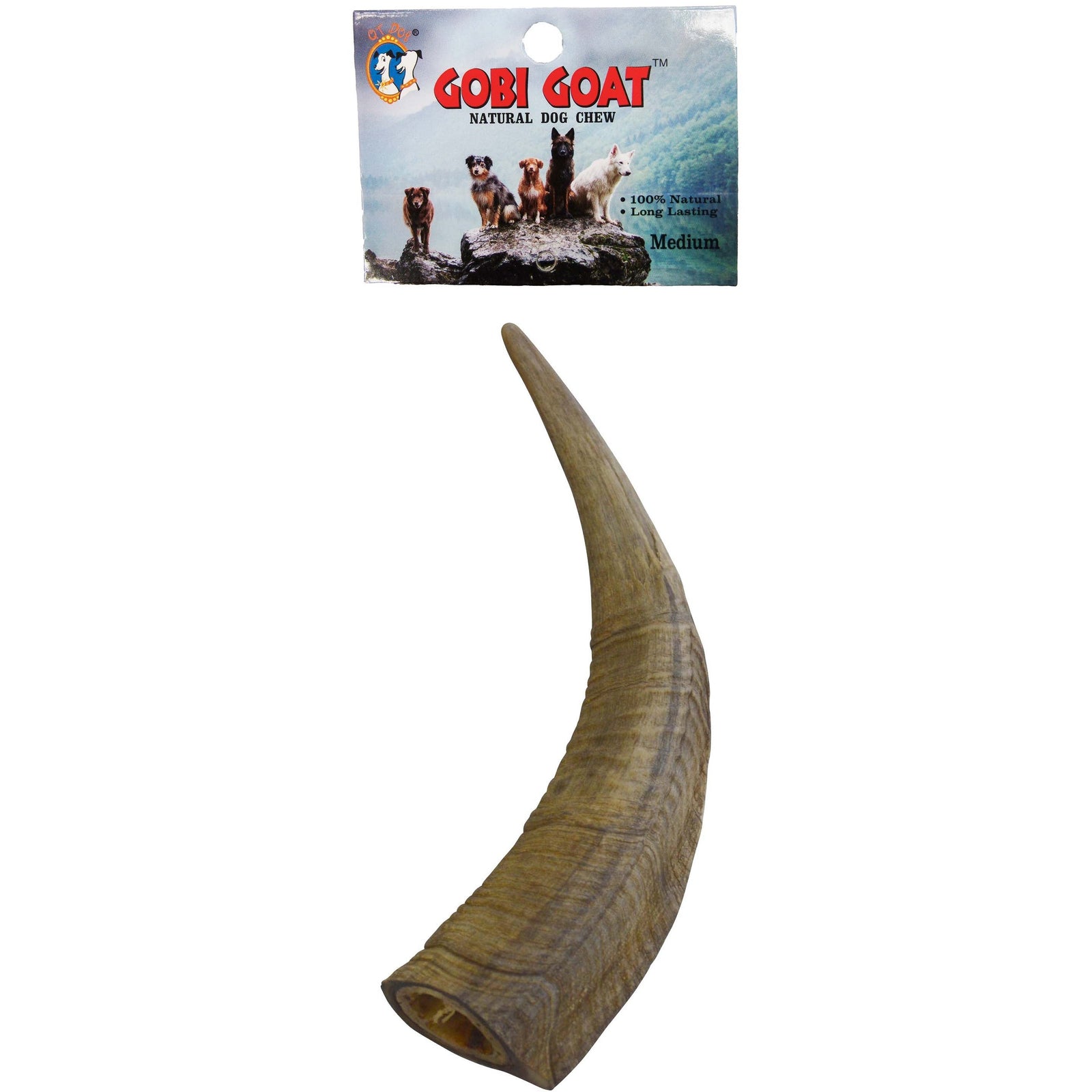 Gobi Horns