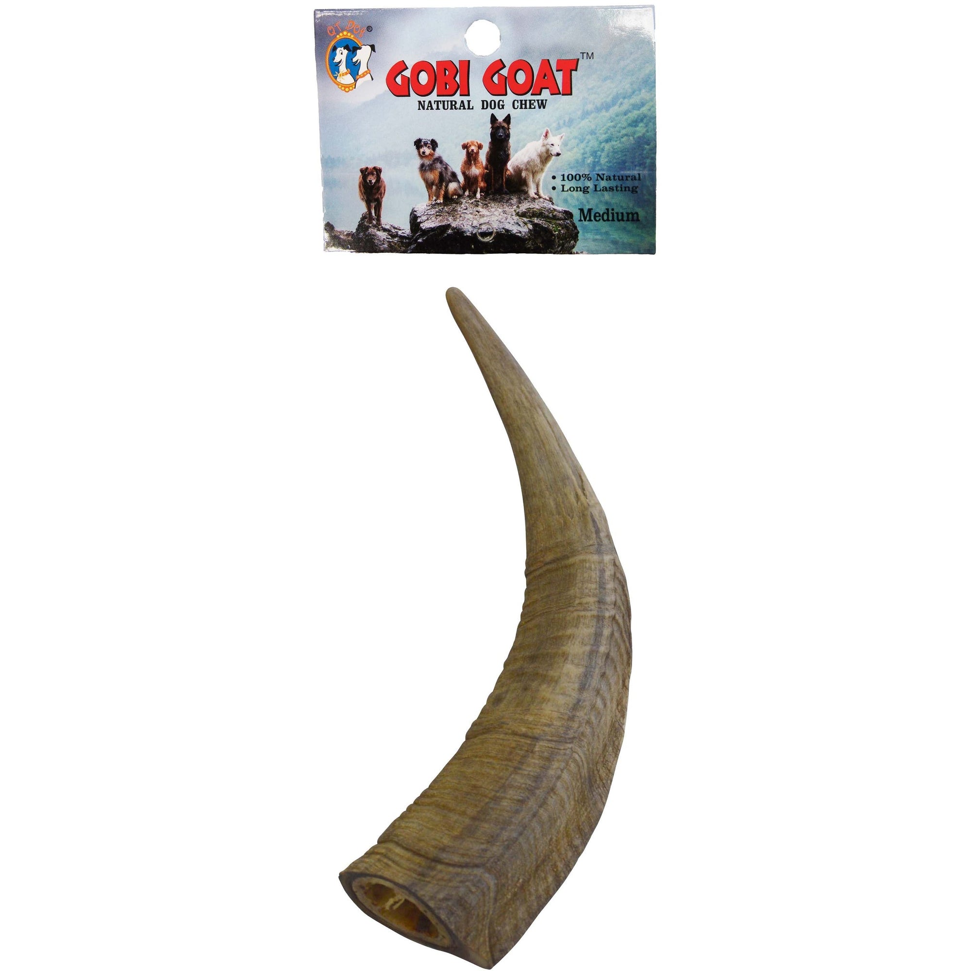 Gobi Horns