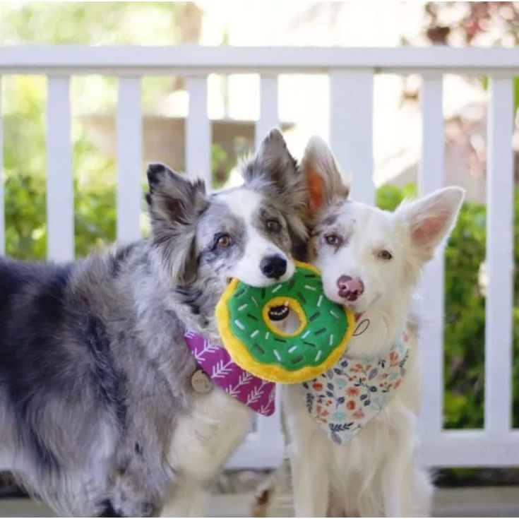 ZippyPaws Donutz - Mint Chip