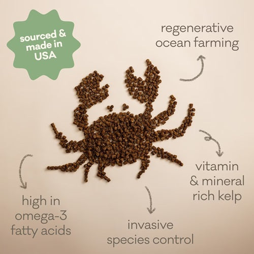 Polkadog - Green Monstah Bits - Green Crab &amp; Kelp Pet Treats