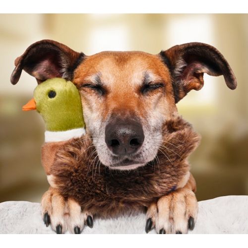 Fluff &amp; Tuff - Morley Mallard