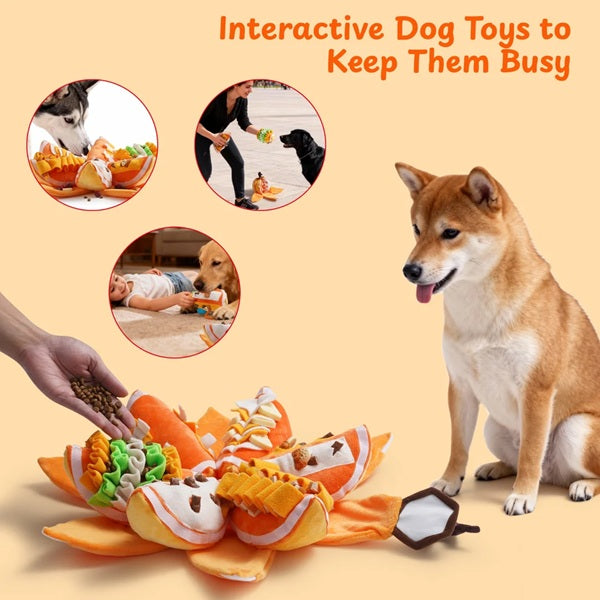 Nocciola - Pumpkin Puzzle Interactive Dog Toy