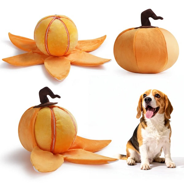 Nocciola - Pumpkin Puzzle Interactive Dog Toy