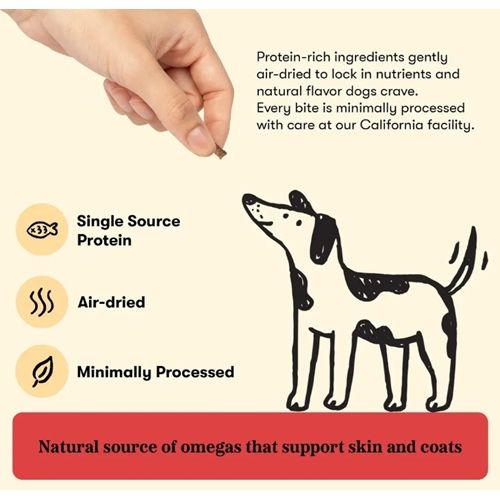 Plato Pet Treats - Air-Dried Salmon Small Bites/Training Bites