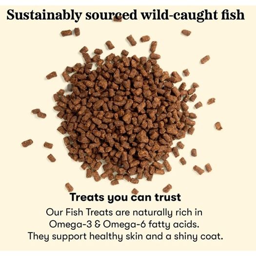 Plato Pet Treats - Air-Dried Salmon Small Bites/Training Bites