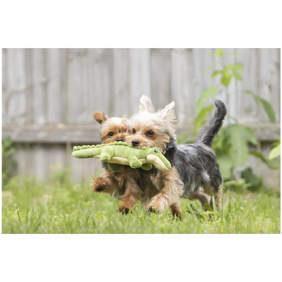 Fluff &amp; Tuff - Savannah Gator Baby