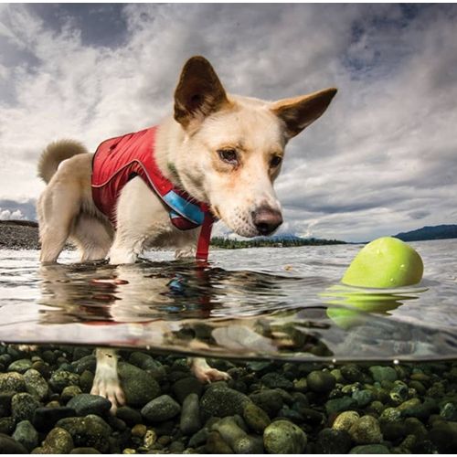 Kurgo - Skipping Stones for Dog Water Play - Pack of 13