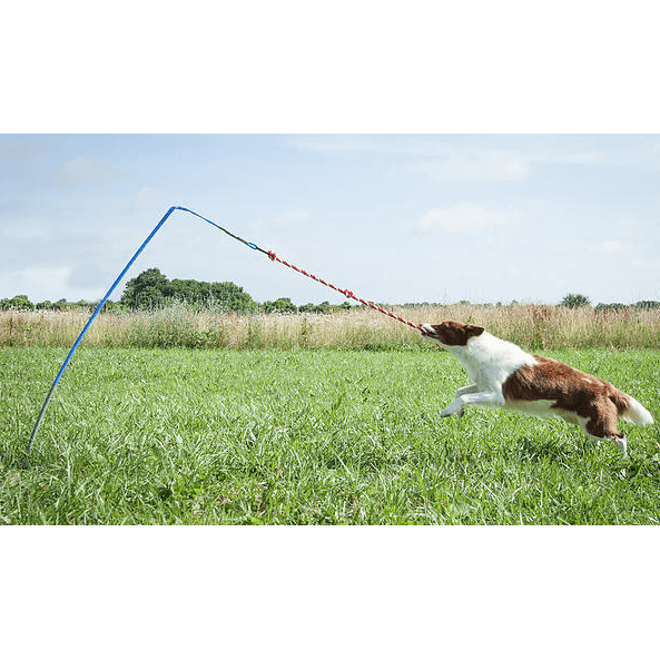 Tether Tug - Small Tether Tug (For dogs under 35 pounds)