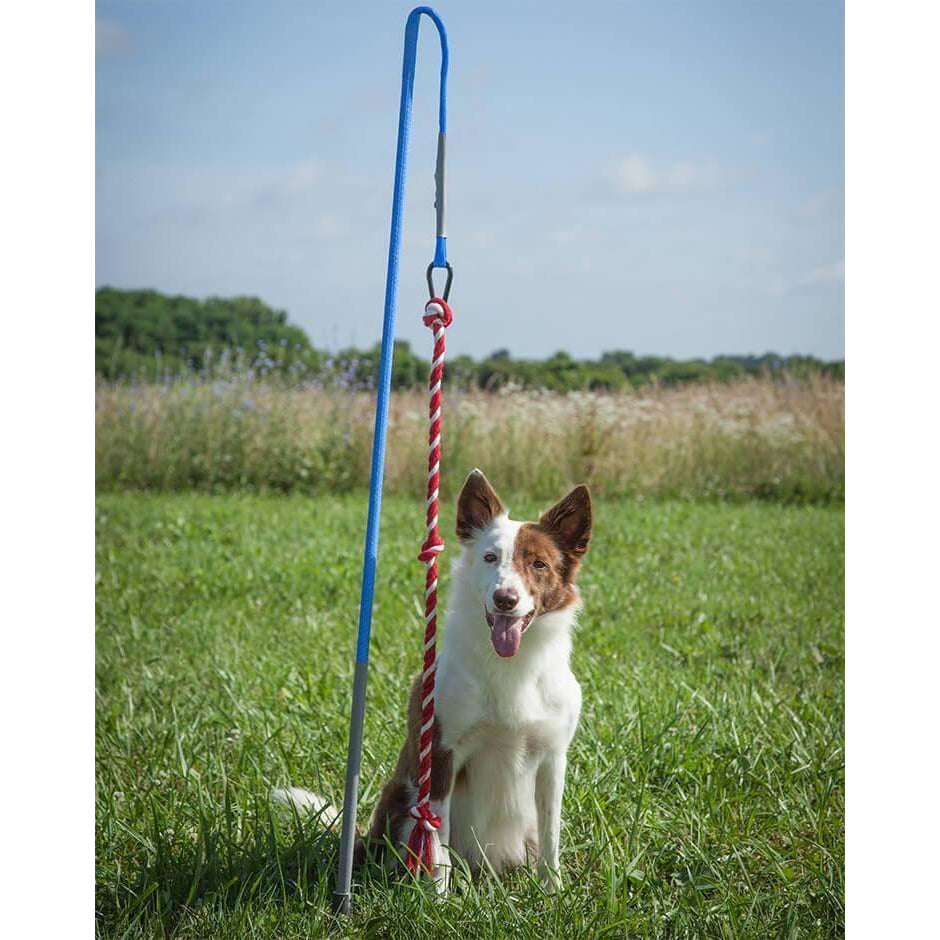 Tether Tug - Small Tether Tug (For dogs under 35 pounds)