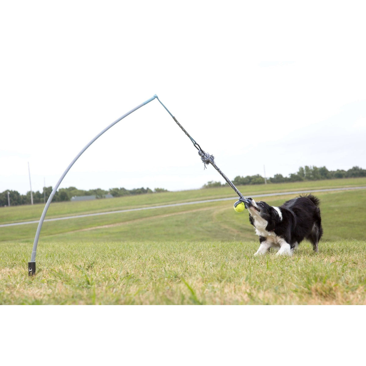 Tether Tug - Small Tether Tug (For dogs under 35 pounds)