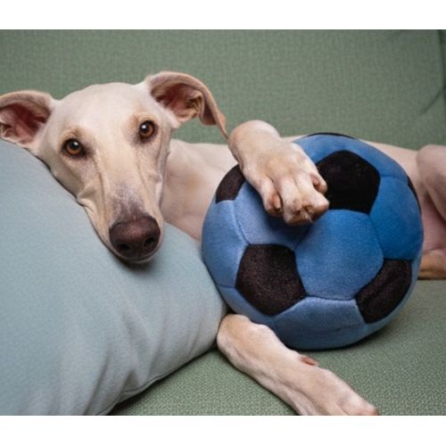Fluff & Tuff - Blue Soccer Ball