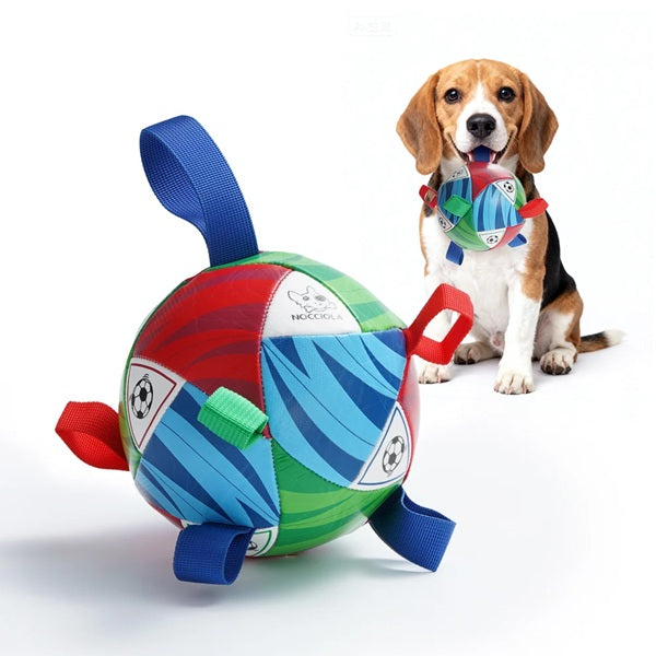 Nocciola - Magic Pup Soccer Ball w/Straps, Multi-Color