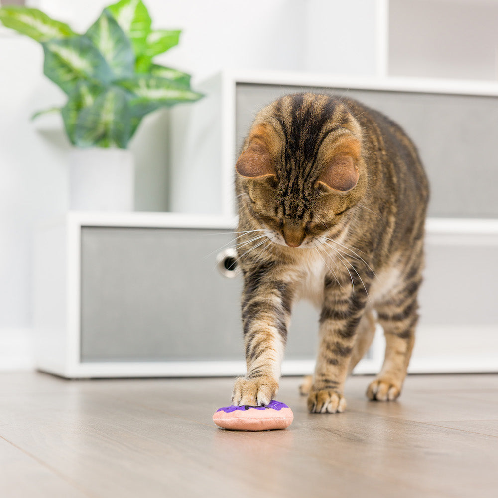 Kittybelles - Spiderweb Donut &amp; Black Flame Candle 2pk