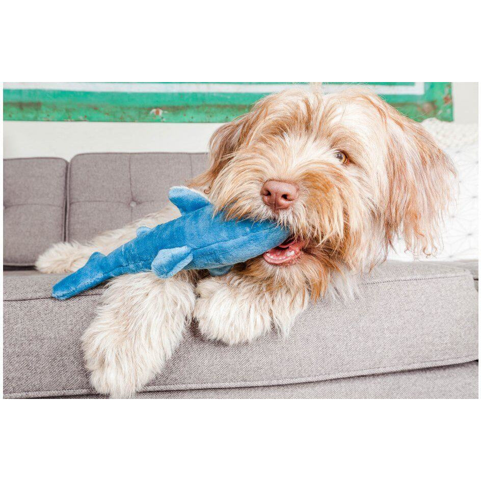 Fluff &amp; Tuff - Tank the Shark