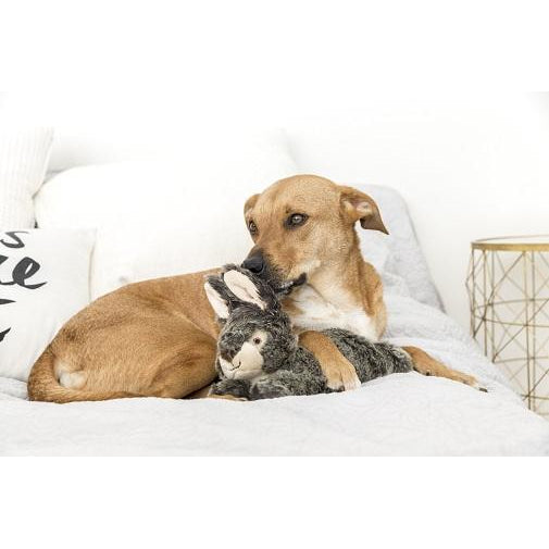 Fluff &amp; Tuff - Walter Wabbit