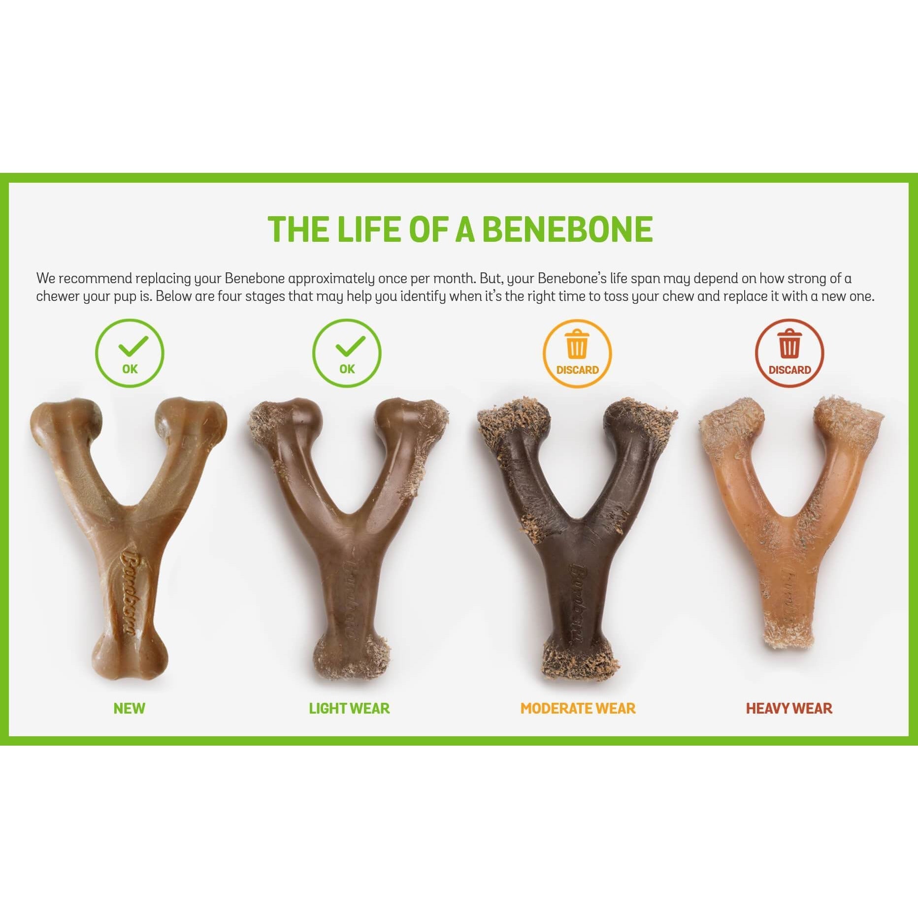 Are Benebones Safe for Dogs? Essential Safety Facts Revealed