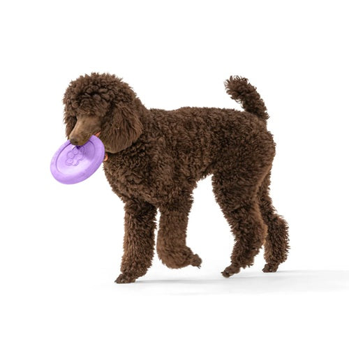 West Paw - Zogoflex Limited Edition Lavender Zisc Dog Toy