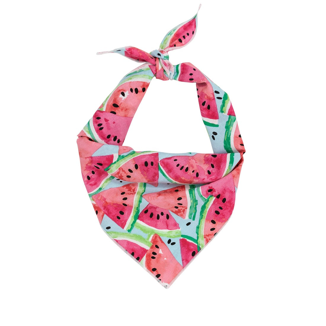 Paisley Paw Designs - Watermelon Bandana