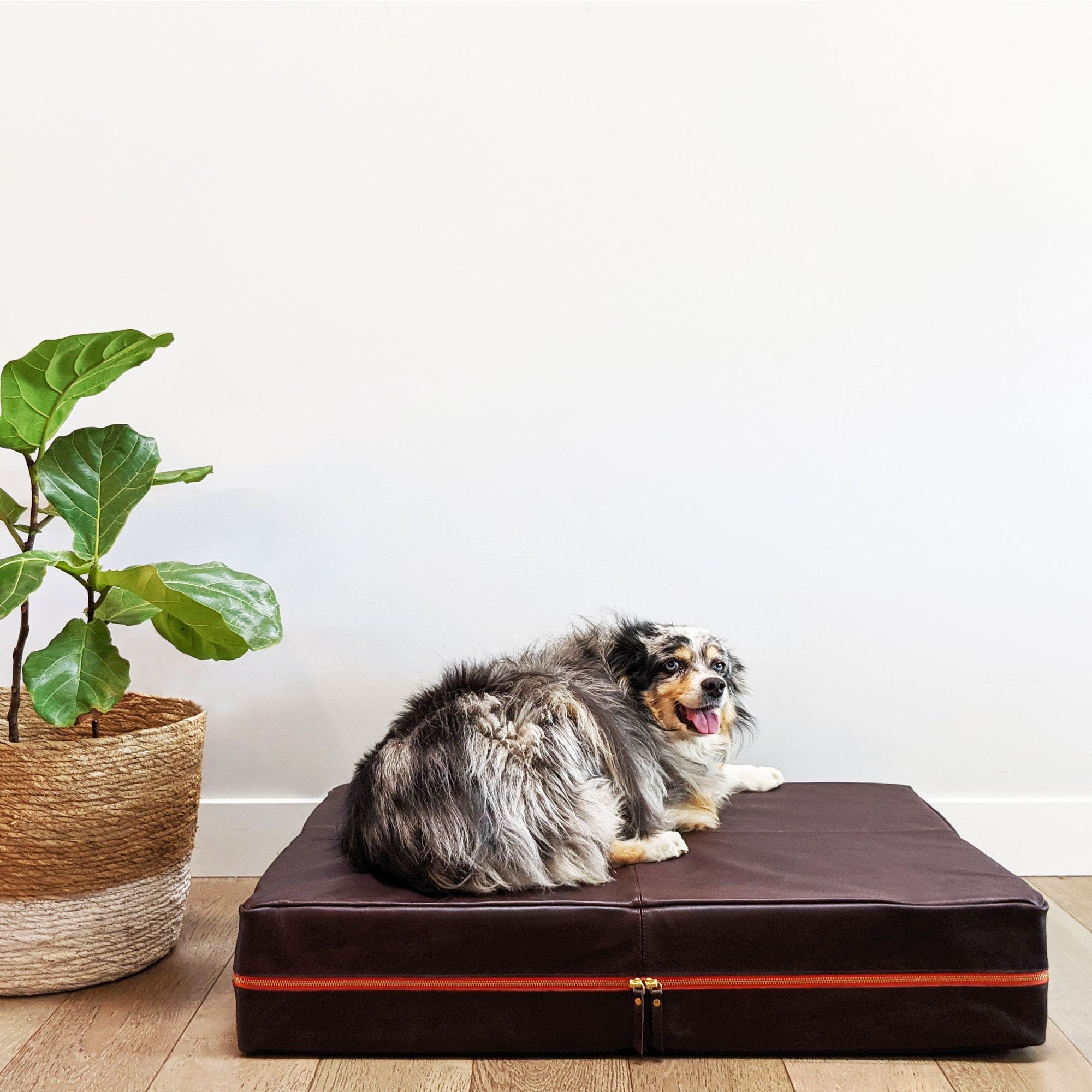 Le Dog Company - Le Bed Modern Dog Bed