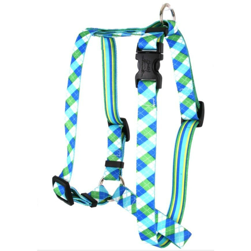 Yellow Dog Design - Roman Dog Harness, Blue & Green Argyle