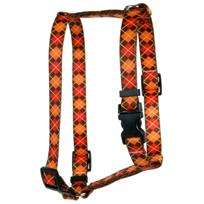 Yellow Dog Design - Roman Dog Harness, Fall Argyle