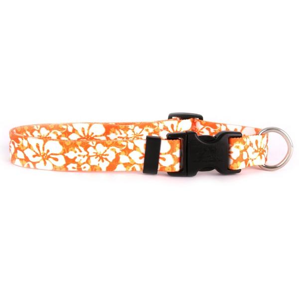 Yellow Dog Design - Island Floral Orange Collar