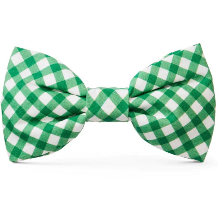 The Foggy Dog - Grass Gingham Bow Tie