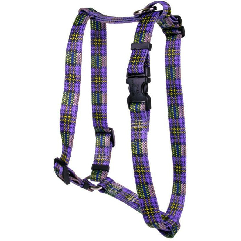 Yellow Dog Design - Roman Dog Harness, Highlander Purple & Gold
