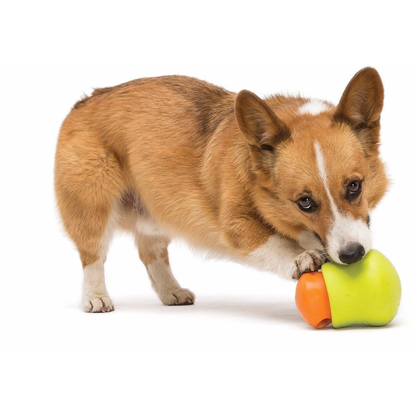 West Paw Toppl Zogoflex Dog Toy – Green Tails Market